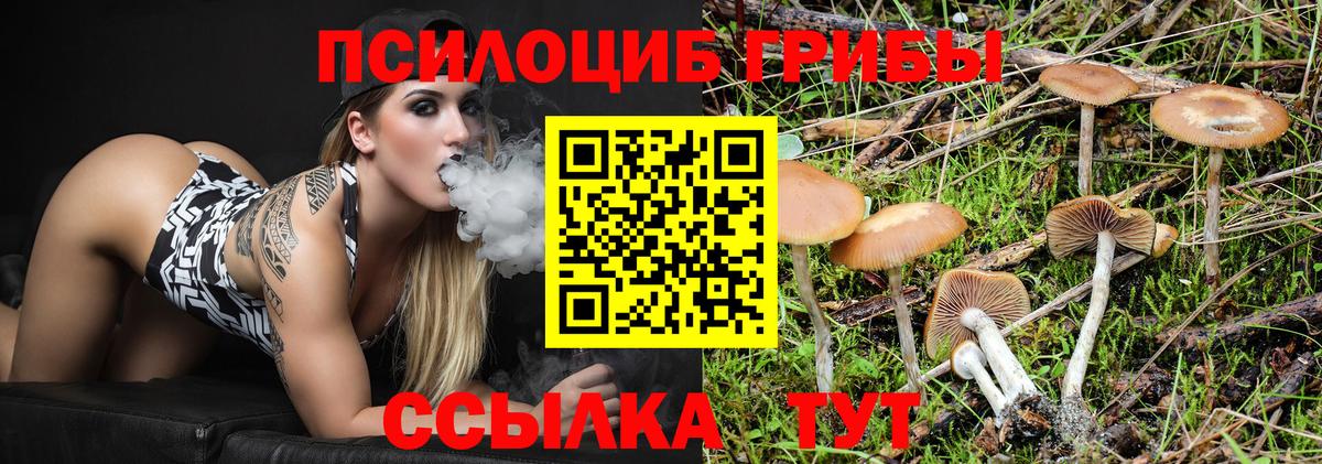цены наркотик  Вход с VPN  Туймазы  Псилоцибиновые грибы ЛСД 